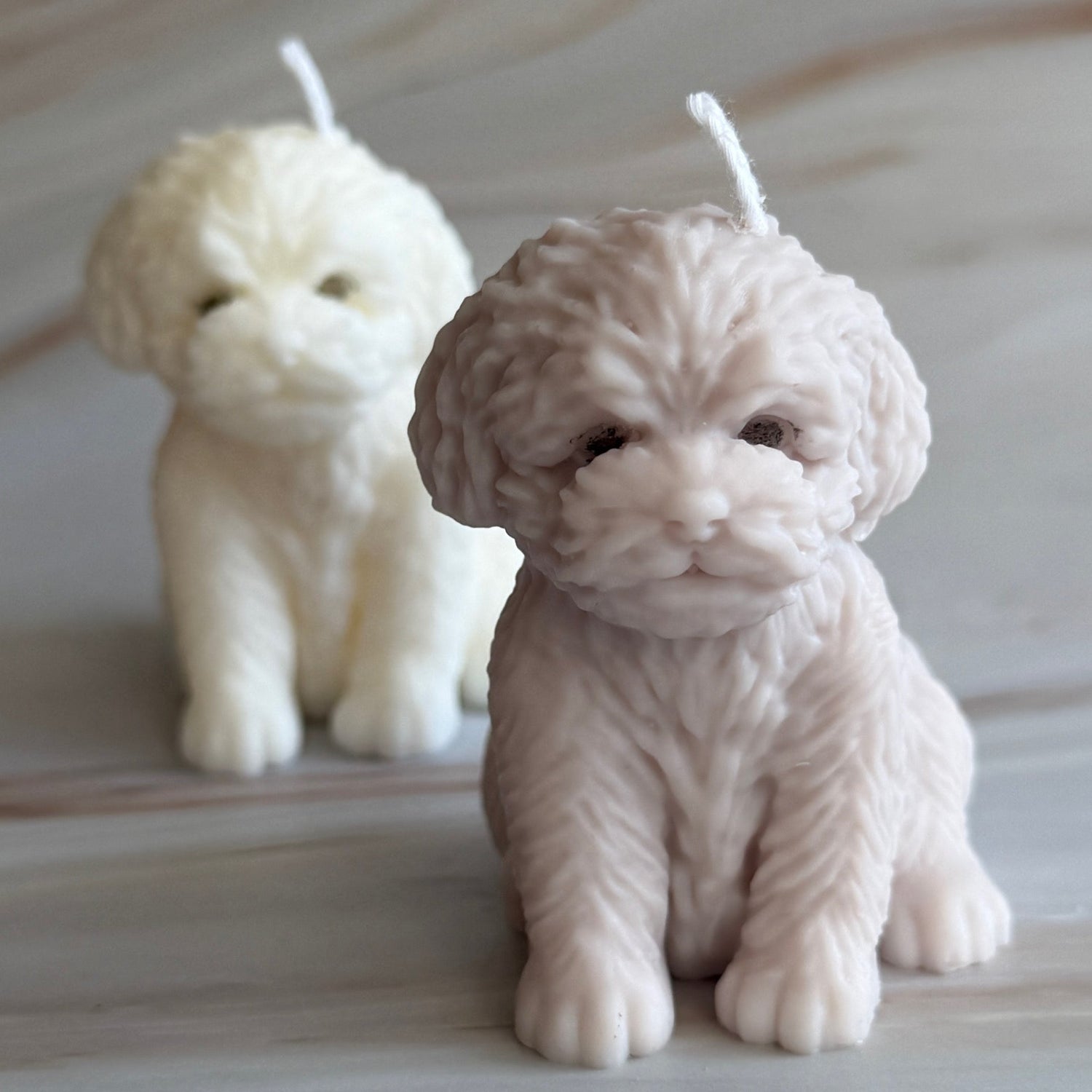 PAWS