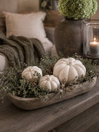 Pompoenen set van 3