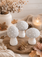 Paddenstoelen set van 3