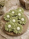 GEURHANGER DAISY