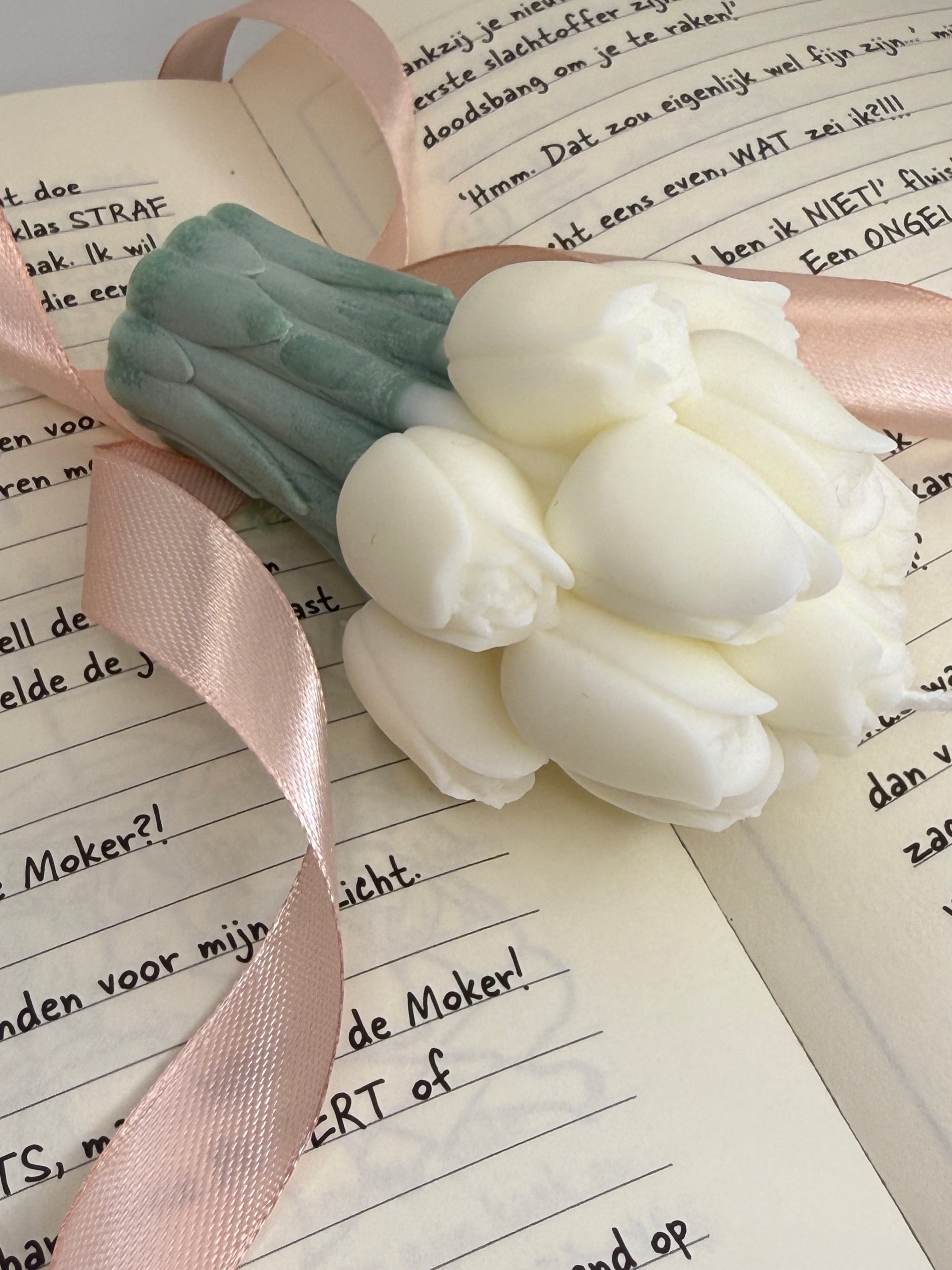 TULPEN UIT AMSTERDAM