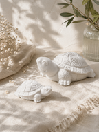 Turtle vanaf: