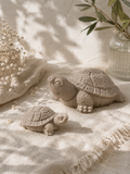 TURTTLE vanaf:
