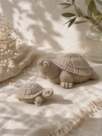 Turtle vanaf: