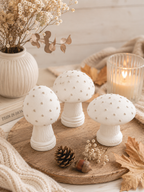 Paddenstoelen set van 3