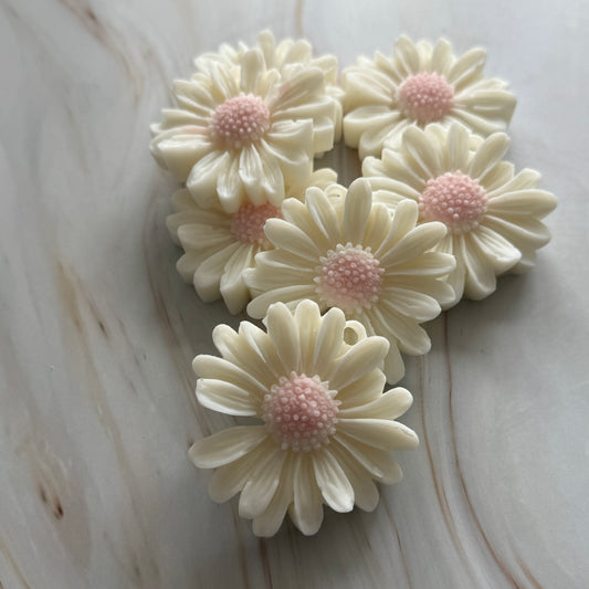 DAISY
