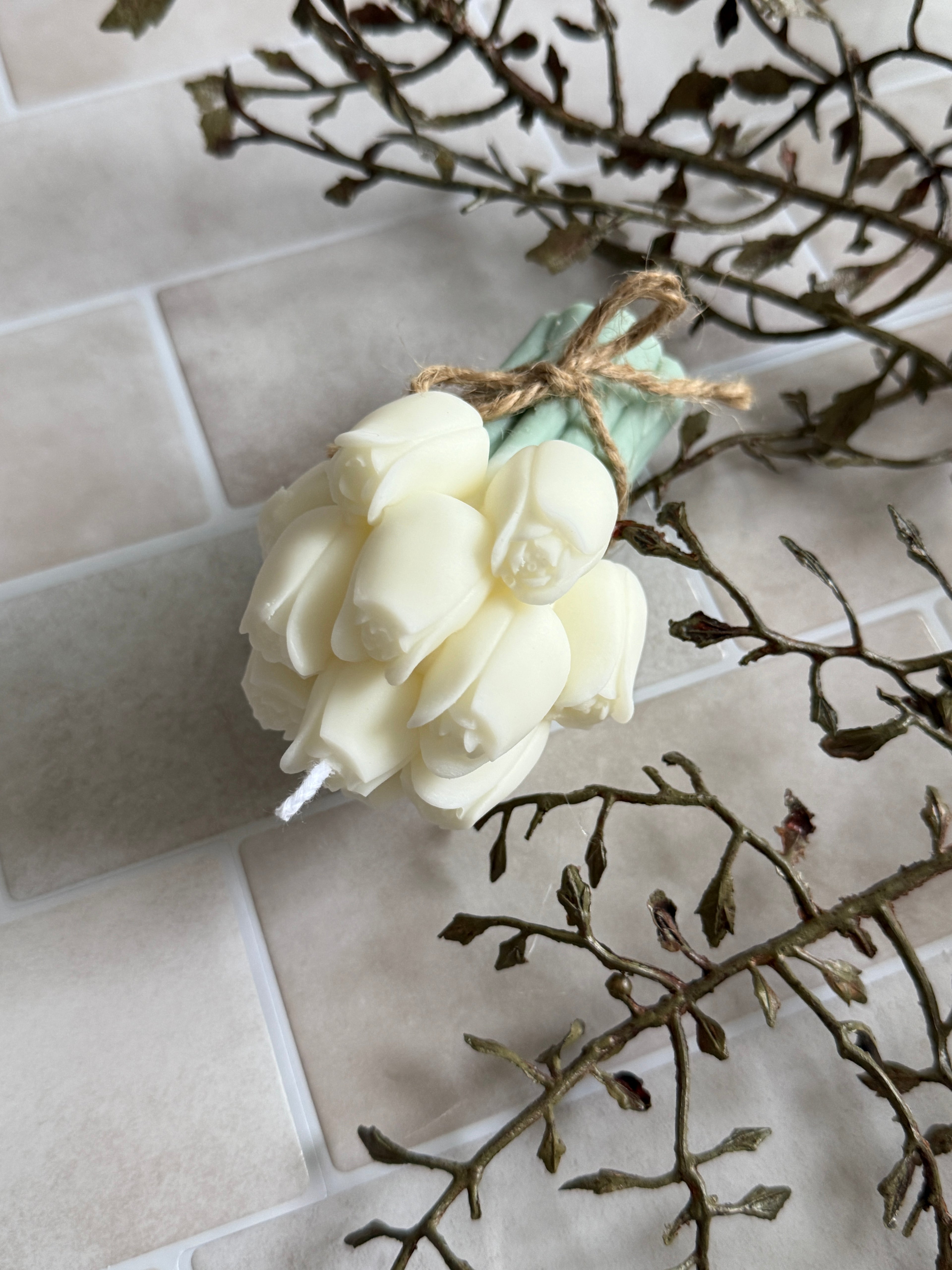 TULPEN UIT AMSTERDAM