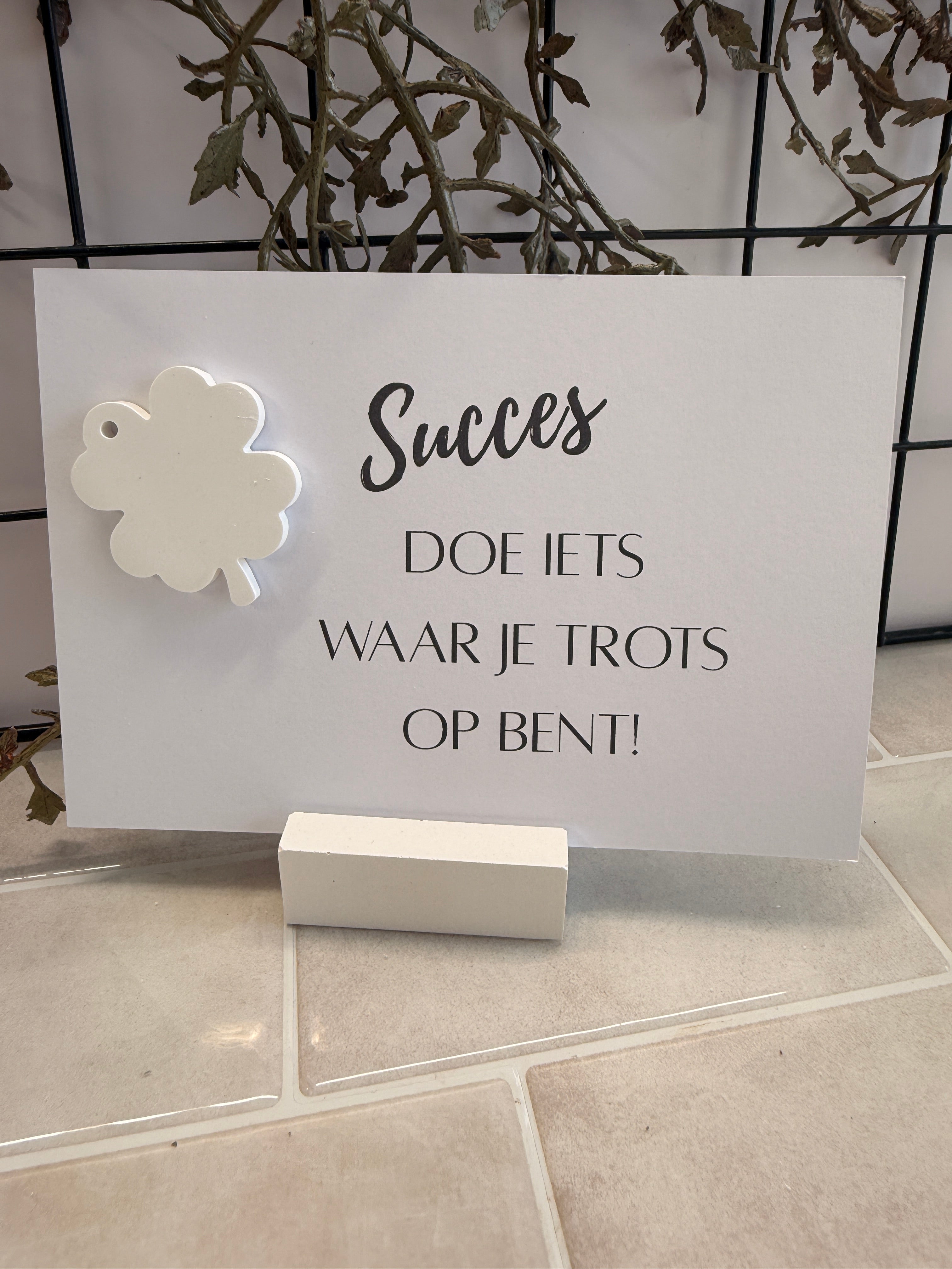 KAART " SUCCES DOE IETS WAAR JE TROTS OP BENT!".